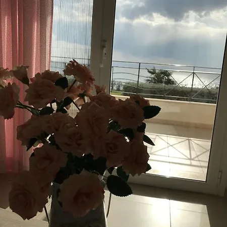 Boutique Appartement