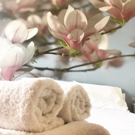 Boutique アパート