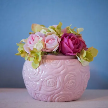 Boutique アパート